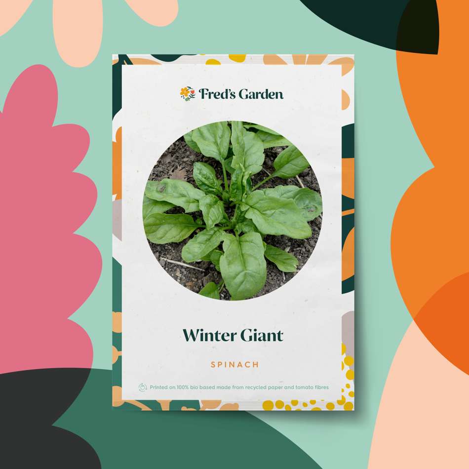 Spenat 'Winter Giant' (frö)